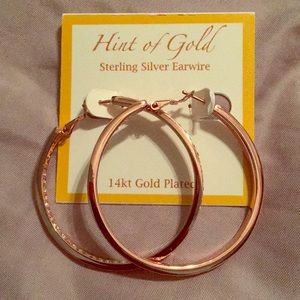 Sterling silver 14kt gold plated earrings